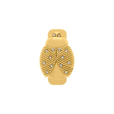 Broche Inseto Dourado com Imã 26mm