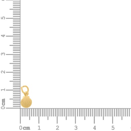 Pingente Concha Ouro 12mm
