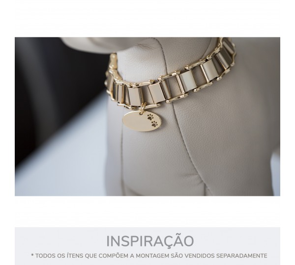 Placa Pet Oval Ouro 32mm