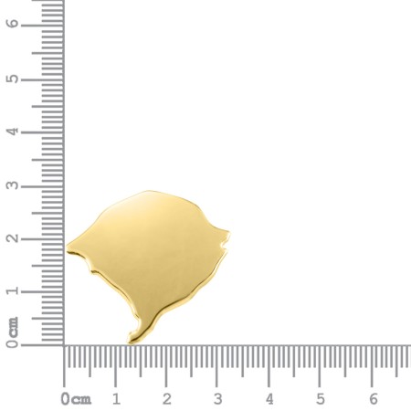 Base Mapa RS para Enfeite de Chimarrão Ouro 54mm
