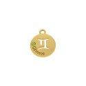 Pingente Signo Gêmeos Ouro 15mm