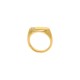 Anel Ouro com Strass N° 17