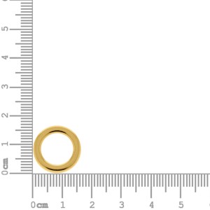 Argola Injetada Ouro 16mm