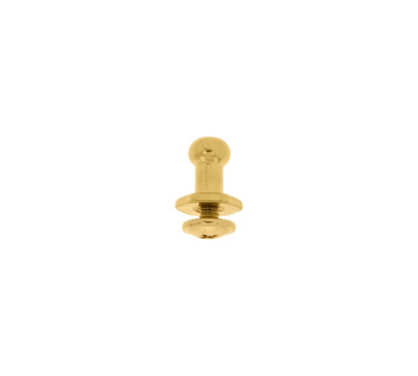 Carrapeta com Parafuso Ouro 10mm