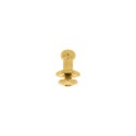 Carrapeta com Parafuso Ouro 10mm